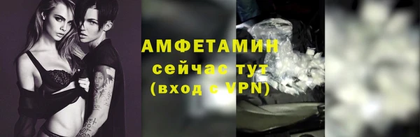 сатива Фурманов