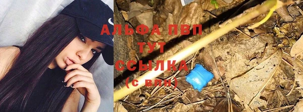 МДПВ Горнозаводск