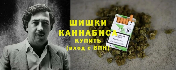 МДПВ Горнозаводск