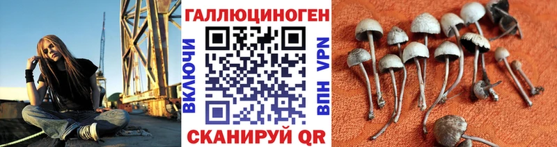 Псилоцибиновые грибы мицелий  Минеральные Воды 