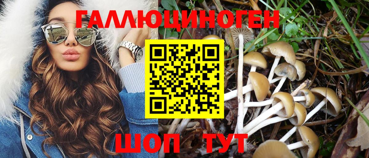 Псилоцибиновые грибы MAGIC MUSHROOMS  Минеральные Воды 