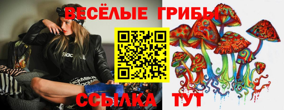 Псилоцибиновые грибы Psilocybe Минеральные Воды