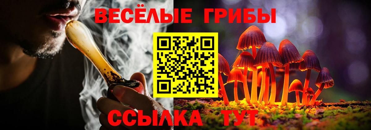 Минеральные Воды  Галлюциногенные грибы мухоморы  Вход с VPN 